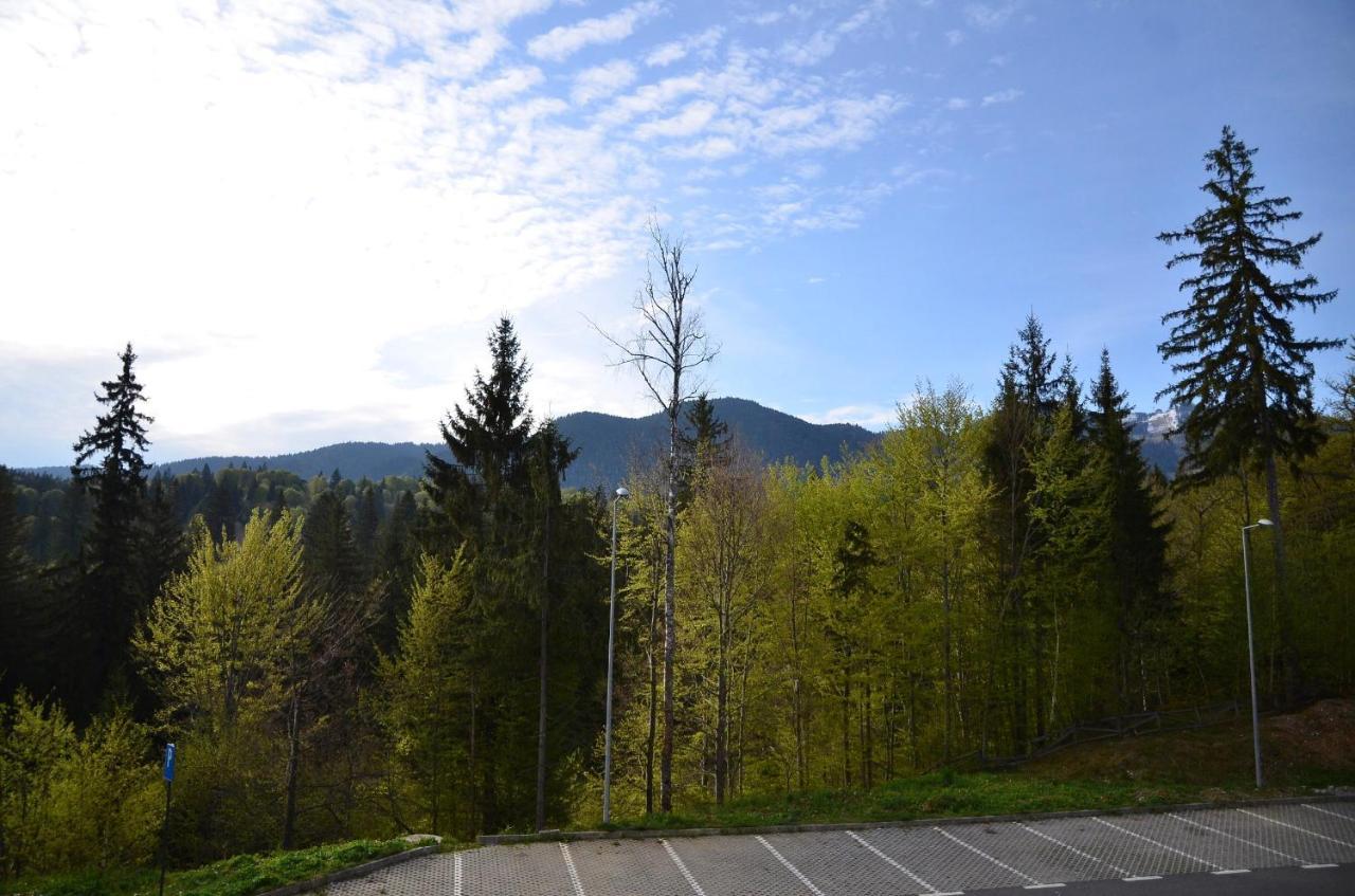 Silver Pine Apartment Poiana Brasov Exterior foto